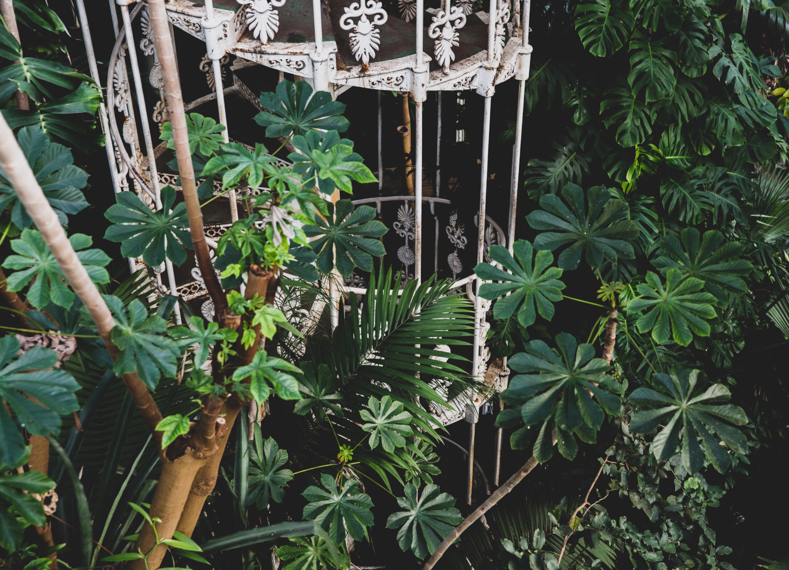 max-letek-KQLa0qM2zac-unsplash